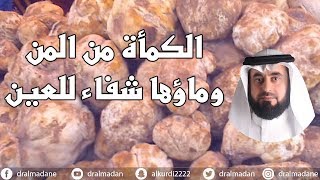 الكمأة من المن وماؤها شفاء للعين فوائد الكمأة ( الفقع ) الطبية ...فوائد مذهلة