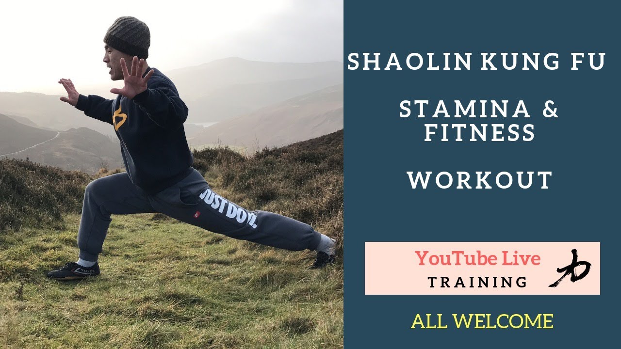 Shaolin Kung Fu Workout You