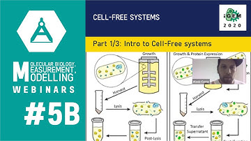 Week #5B: Cell-Free Systems 1/3: Intro to Cell-Free systems (advantages & versus in vivo)