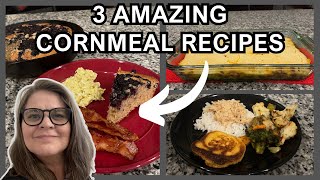✨3 AMAZING RECIPES USING CORNMEAL✨Taco Casserole ✨Corn Fritters ✨ Blueberry Cornmeal Skillet Cake by The Long Run with Joel and Christy 228 views 3 weeks ago 23 minutes