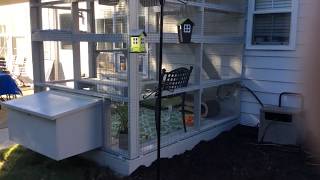 Custom Catio  with side access tunnel