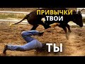 ЭТО ДЕЛАЮТ ТОЛЬКО 1% ЛЮДЕЙ. Видео, которое перевернет твое сознание. (ЭТО НЕ ДЛЯ ВСЕХ)