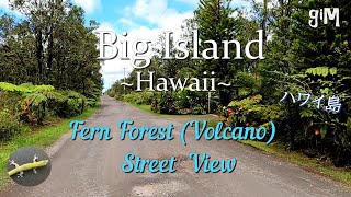 Fern Forest, Volcano - Big Island, Hawaii (Homes)