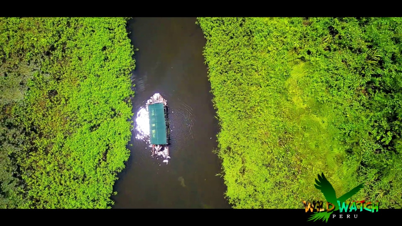 Manu Park  – Cultural Zone – Wildlife & Nature Destination from Cusco city