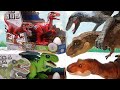 Robo T-Rex & Rapter - Walking And Sound Robo Alive Dinosaur Review 로보다이노 티렉스 랩터