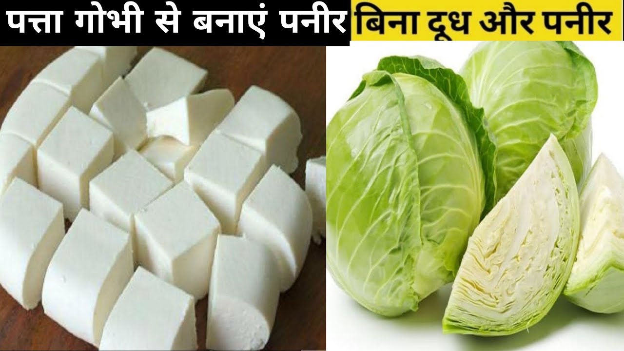 सिर्फ एक पत्ता गोभी से पूरे घर के लिए बनाए पनीर को टक्कर देने वाली बिल्कुल नई रेसिपी पत्तागोभी सब्जी