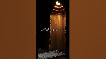 سورة النمل | إسلام صبحي ( وان ربك ليعلم ما تكن صدورهم وما يعلنون ) #القرآن_الكريم #خشوع
