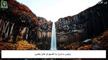سورة البقرة الصفحة (16) بصوت القارئ ( أمين ديدان )