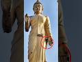 Lord गौतम बुद्ध का सहारा bees ने ले लिया है #shorts