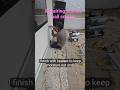 استاکوStucco Wall Crack Repair | تعمیر ترک دیوار استاکو#StuccoRepair #WallRepair #Handyman #Construc
