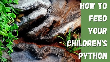 How to feed your Children