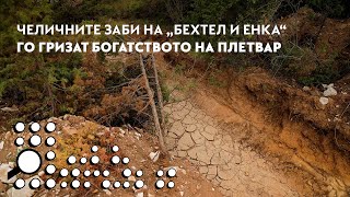 картинка: Челичните заби на „Бехтел и Енка“ го гризат богатството на Плетвар