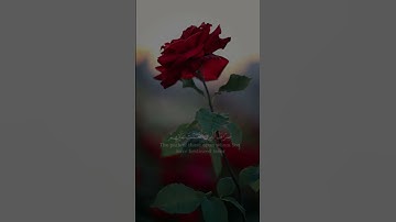 سورة الفاتحة | سعود الشريم | تلاوة خاشعة ومؤثرة