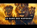 La troupe de lions la plus meurtrire ayant jamais exist  les lions mapogos 