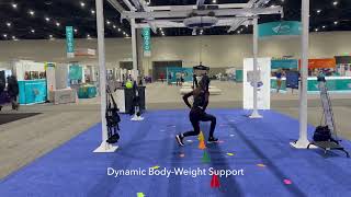 ZeroG 3D Dynamic Body-Weight Support at APTA-CSM
