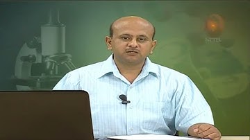 Basic concepts 1 #swayamprabha #CH17SP