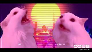 Download Lagu Blinding Cats MP3