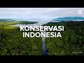 Konservasi Indonesia