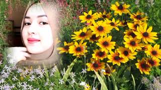 SATU SONATA YANG PALING INDAH ITU SYAIR LAGU INI, " SONATA YANG INDAH " COVER BY LISA MARIA (LIRIK)