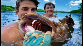 Catfish Noodling: How To Noodle Catfish In A River [Noodling Catfish Tips & Techniques] | SFSC