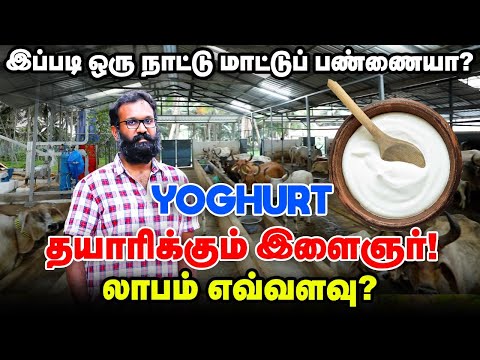 நாட்டு மாட்டுப் பண்ணையில் புதிய முயற்சி | Yoghurt தயாரிப்பில் அசத்தும் இளைஞர்!