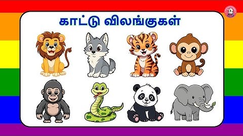 காட்டு விலங்குகளின் பெயர்கள் | animals name | animals