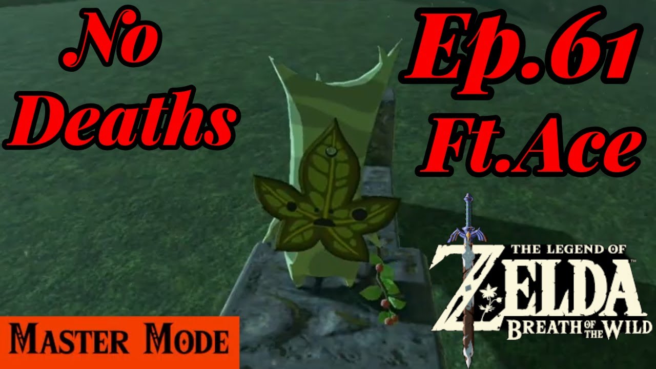 No Deaths 100% Completion #BOTW Master Mode Ft. Ace Ep.61