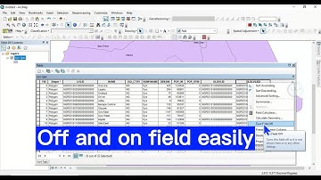 How to turn off and on of field in ArcGIS attribute table: Necessary for data cleaning