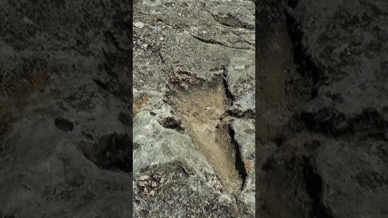 Así Encontraron una Huella de Eras Remotas😱 