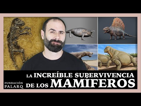 Vídeo: Els prototeris posen ous?