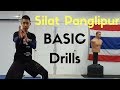 Basic Drills of Silat Panglipur