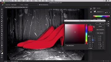 Photoshop: Adding Spot Channels to Duotones in Photoshop