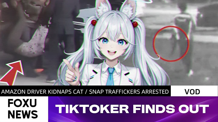 Anti-Ice Illegal Tiktok Influencer Gets Deported