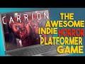 Carrion: Amazing Horror Platformer Game for Steam XBOX & Switch