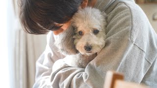 5年間ありがとう、これからもずっと大好きだよ。