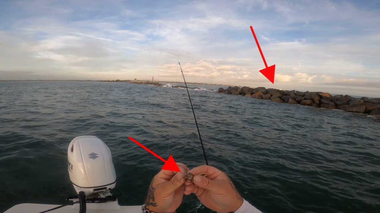 Рыбалка + Зима + Мрачный день + Крабы + Камни = Овечья голова