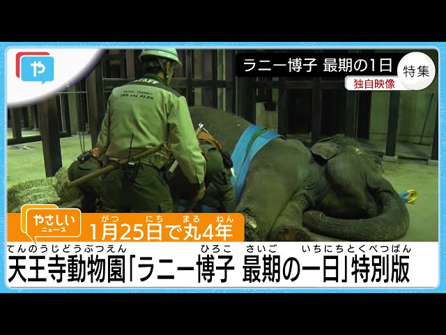 48 Year Old Elephant Hiroko Lanny.Her final day at Tennoji