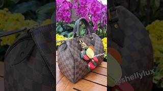 Louis Vuitton Speedy 25 Damier Ebene Sac Du Jour