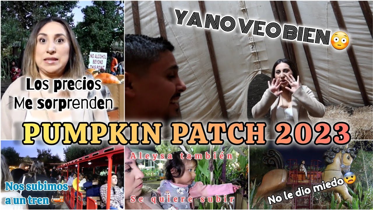 Live Oak Canyon Farm PUMPKIN PATCH 2023 HUERTO DE CALABAZAS VLOG live-oak-canyon-farm-pumpkin-patch-2023-huerto-de-calabazas-vlog