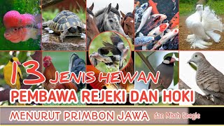 13 ANIMALS BRINGING LUCK AND HOCI, ACCORDING TO ANCIENT JAVA PRIMBON.