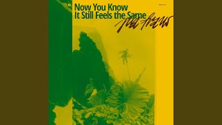 How Fast Can You Love (Rerecorded)