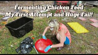 Fermenting Chicken Feed: My First Attempt and Huge Fail!