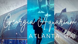 The Georgia Aquarium: A Walking Marine Life Tour of the Atlanta Aquarium! Atlanta, GA