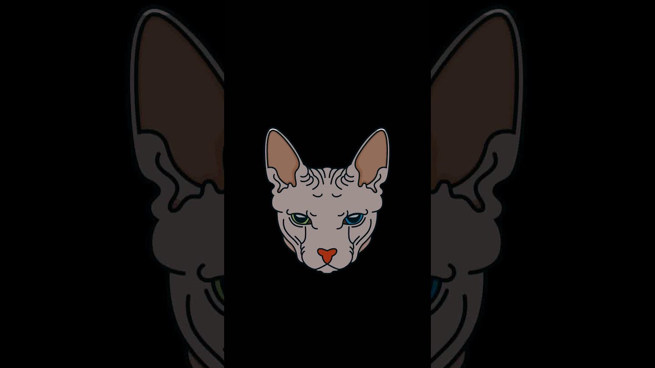 Sphinx cat Animated - YouTube