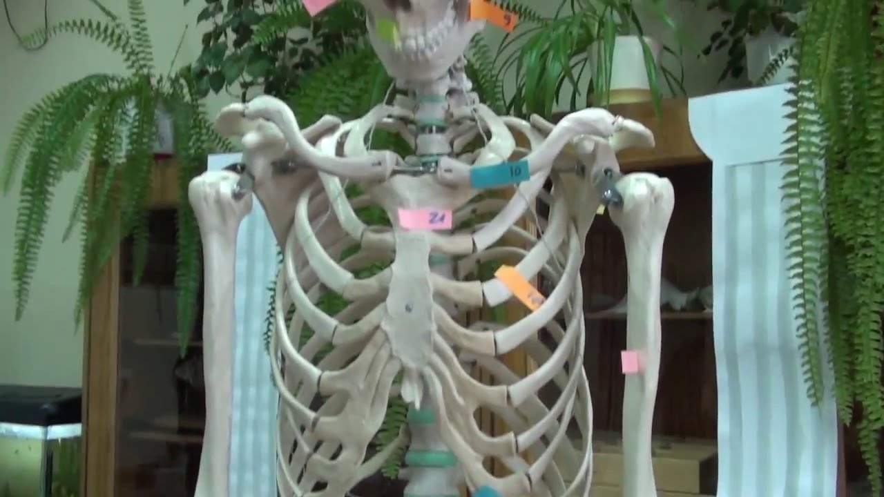 Dni Otwarte II LO 2016 — Fragmenty