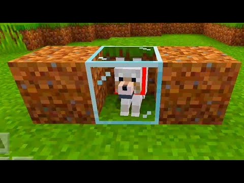 tik-tok-minecraft-compilation!-(funny-videos)