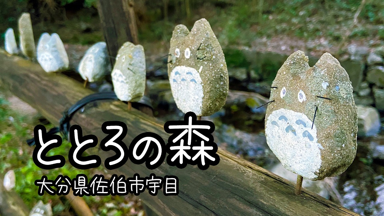 【ととろの森】と【ジブリの森】にて、自由にくつろぐ猫たちのスライドショー