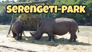 Serengeti-Park Hodenhagen Safari-Tour Highlights Für Familien Paare