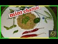 Mint chattni  biriyani chattni easy green chattni  biriyani sidedish vasuj creation malayalam