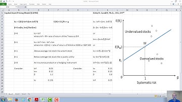The Capital Asset Pricing Model (CAPM) and Stock Market Equilibrium